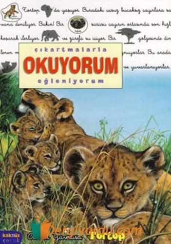 Aslan Yavrusu Tortop - Çıkartmalarla Okuyorum Eğleniyorum Delphine Lac