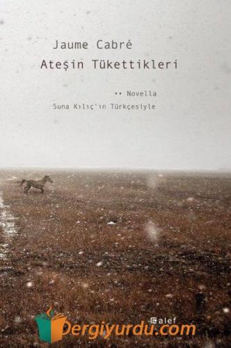 Ateşin Tükettikleri Jaume Cabre