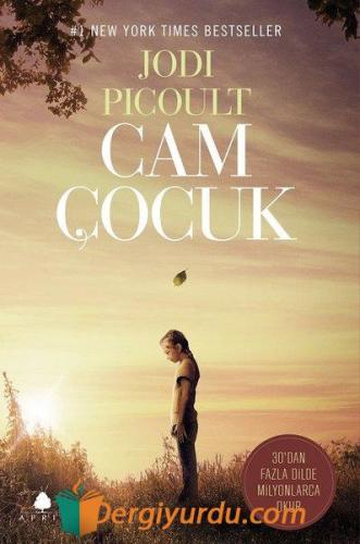 Cam Çocuk Paul Foulquie