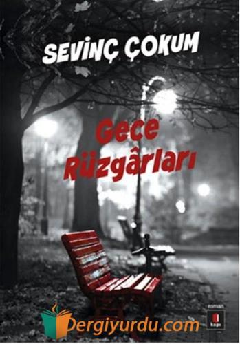 Gece Rüzgârları Sevinç Çokum