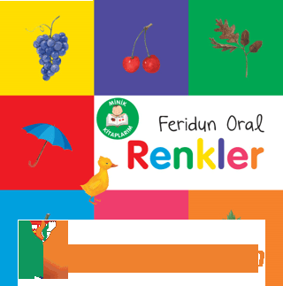 Minik Kitaplarım - Renkler Feridun Oral