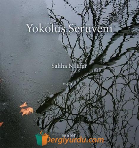 Yokoluş Serüveni Jean-François Solnon