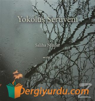 Yokoluş Serüveni Jean-François Solnon